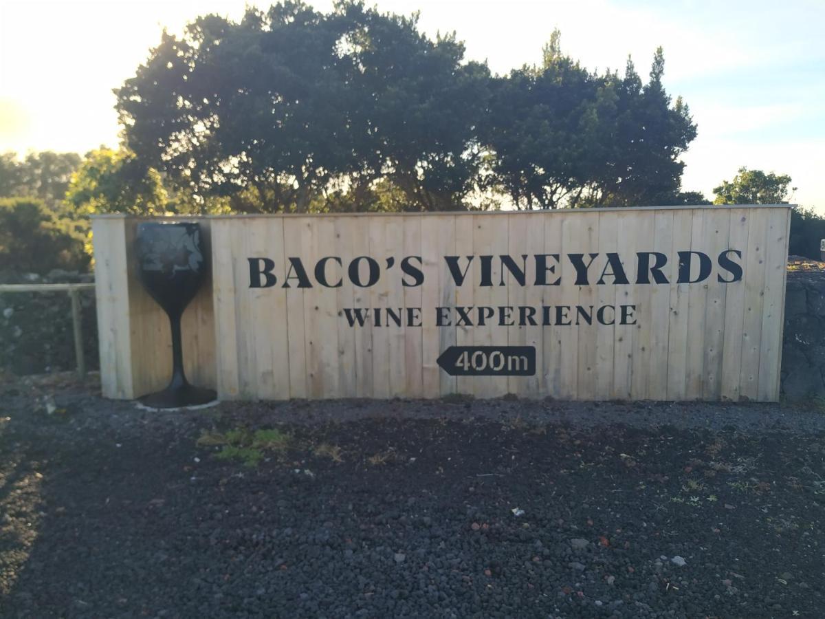 Baco'S Vineyard Vila Lajido Exterior foto